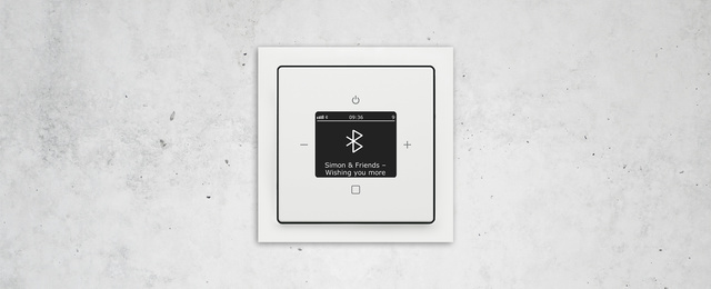 Busch-Radio Btconnect bei Elektromeister Laganowski GmbH in Dresden